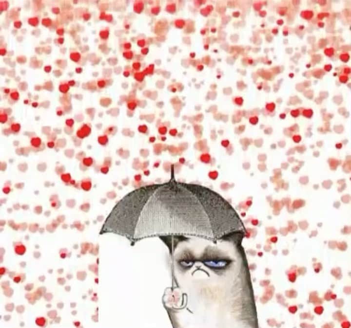 Grumpy Catのインスタグラム