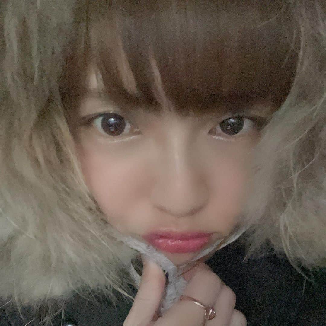 茜結のインスタグラム：「かぶりもん  #茜結#グラビア#グラドル #女優#役者#ナレーター#youtuber #youtuber好きな人と繋がりたい #youtubechannel #可愛い女の子 #大人可愛い #綺麗になりたい #低身長 #シングルマザー #綺麗なお姉さん #熟女 #カメラマンさんと繋がりたい #撮影モデル #撮影 #cute #beautiful #水着 people #お洒落さんと繋がりたい #お洒落 #可愛くなりたい #可愛い女の子 #可愛い子と繋がりたい #美少女 #美魔女」