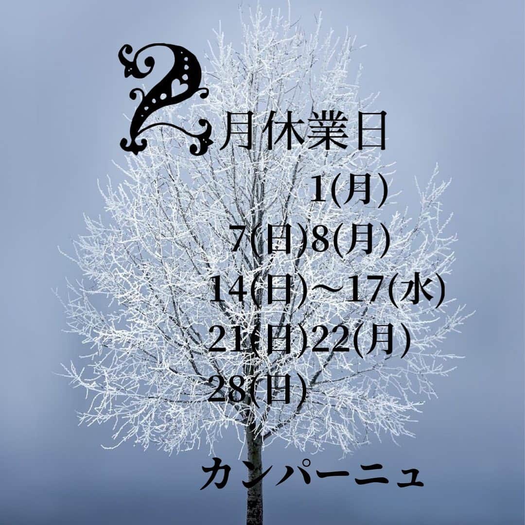 魔女菅原さんのインスタグラム写真 - (魔女菅原Instagram)「おはようございます。 カンパーニュは本日定休日です。 2/16、2/17臨時休業を頂いております。ご不便をおかけししますがよろしくお願いします。」2月15日 6時50分 - hatsuyosugawara