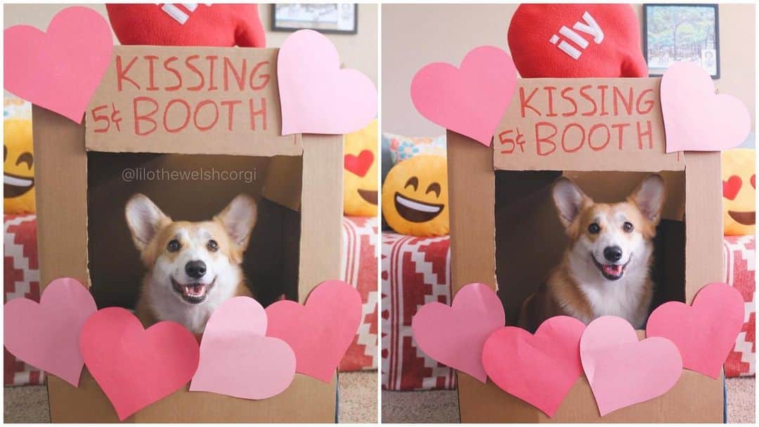 Liloのインスタグラム：「I here to offer my services for Valentine’s Day ❤️Tag someone who might need it! #valentines #valentinesday」