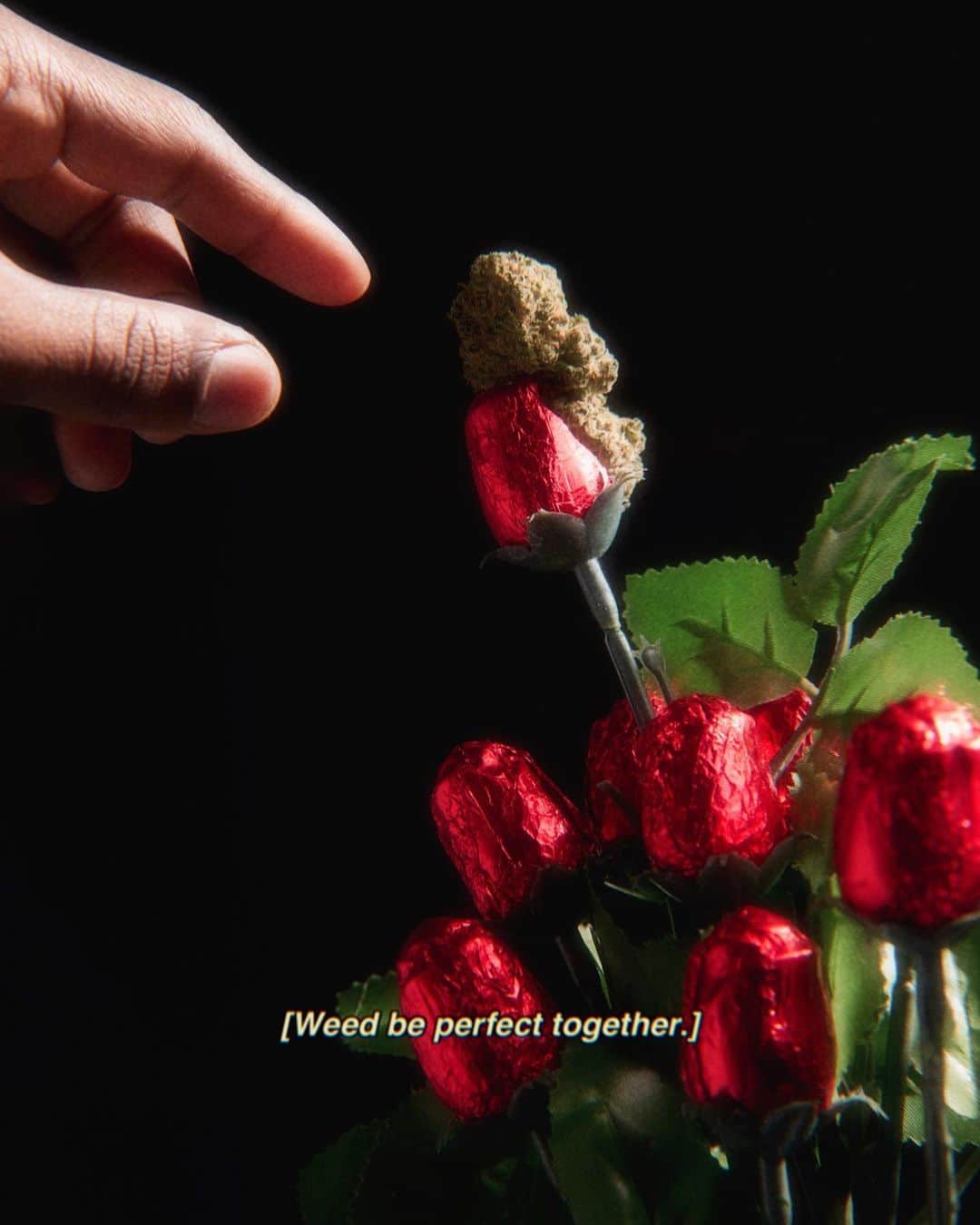 Paul Octaviousのインスタグラム：「Rule Change: Roses are Green this year.   Strain: Tangie & Cream / It honestly tasted like Orange tic tacs 🍊 It’s a mix of strains Tangie and Cookies & Cream and left me with chill creative energy 😉🤗 forever a strain in my “Let’s make art and chill” zone. 🌹  Note: this strain did give me the munchies and I made Saltine mini PB&J’s (strawberry jam of course) and thought they were the cutest thing...😅🥪  An artist who smokes weed.. how original...👀☠️  #highart #cannabis #flower #tangieandcream #weed #munchies」