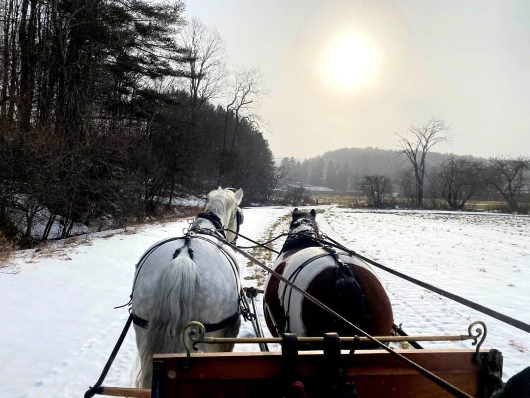 のインスタグラム：「Photo by @erintrieb / Horses trot along freshly fallen snow while pulling a carriage in South Woodstock, Vermont. The horses at Kedron Valley Stables receive treats like peppermints and apples after a day's work and are covered with thick, wool blankets to keep warm in cold temperatures. For more stories from around the world follow @erintrieb.」