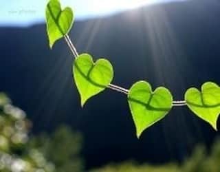 ジェニファー・ビールスさんのインスタグラム写真 - (ジェニファー・ビールスInstagram)「Ah, the high holy day of Love! So sweet is Love’s succor. Love of the other, love of nature, love of your own sweet heart. Outside and in. Love has the ability to heal us all. ❤️  Happy #ValentinesDay #loveistheshieldloveisthesword」2月15日 8時36分 - thejenniferbeals