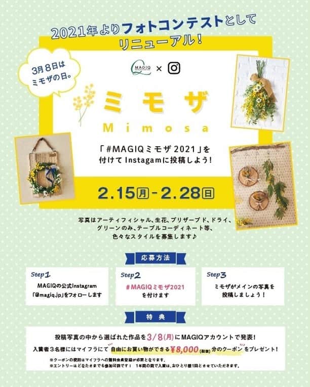 東京堂アーティフィシャルフラワーMAGIQのインスタグラム：「・ 🎁MAGIQ『ミモザ』フォトコンテスト開催🎁 ・ 🦋期間 → 2月15日(月) 〜 2月28日(日) 🎖入賞 → ３名 🏅発表 → 3月8日(月)  ミモザの日に発表です❣️ ・ 🔸フォトコンテスト概要🔸 ◎テーマ 【ミモザ💐】がメインの写真を投稿してください ・ 🌷花 ➡️ アーティフィシャルフラワーはもちろん、プリザーブドフラワー、ドライフラワー、生花など花なら🆗です！ ・ 応募は簡単❗️ 以下参加方法にて、どなたでも参加🆗です！！ ・ 👇👇👇👇👇👇👇👇👇👇👇👇👇👇👇 ・ ◎参加方法 ① @magiq.jp をフォロー ② #magiqミモザ2021 をタグ付け投稿して下さい！ ・ ⚠️①フォロー&ハッシュタグが無いと対象外となります ②開催期間外(2/15より前に投稿した写真）にハッシュタグをつけたものは無効となります ・ 投稿はどなたでも！何度でもOK！！ 尚、１年間の間で入賞はおひとり様１回とさせていただきます。 ・ 🌟受賞者の方には Instagram のDMにて連絡いたします (必ずDMで連絡取れるようにお願いします) ・ 🎁特典🎁 ◎入賞 → ３名 ①東京堂小売サイト「マイフラ」にて自由にお買い物ができる￥8,000（税込）分のクーポンをプレゼント❣（無料会員登録が必要となります） ②入賞写真をMAGIQアカウントにてタグ付けして発表いたします ③発表当日、東京堂 公式 facebookページ でシェア掲載いたします ④東京堂HP内MAGIQブランドサイトにてTOPICS掲載いたします ・ #TOKYODO #MAGIQ #MAGIQのある暮らし #東京堂 #アーティフィシャルフラワー #アーティフィシャル #花 #アートフラワー #造花 #花のある暮らし #花のある生活 #花好きな人と繋がりたい #フラワーデザイン #フラワーアレンジメント #フラワーアレンジ #アレンジメント #artificial #artificialflower #春 #ミモザ #mimosa #mimosas  #spring  #フォトコンテスト #3月8日  #フォトコン #3月8日はミモザの日 #ミモザの日 #国際女性デー」