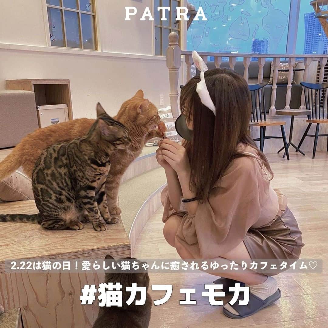 PATRA magazineのインスタグラム