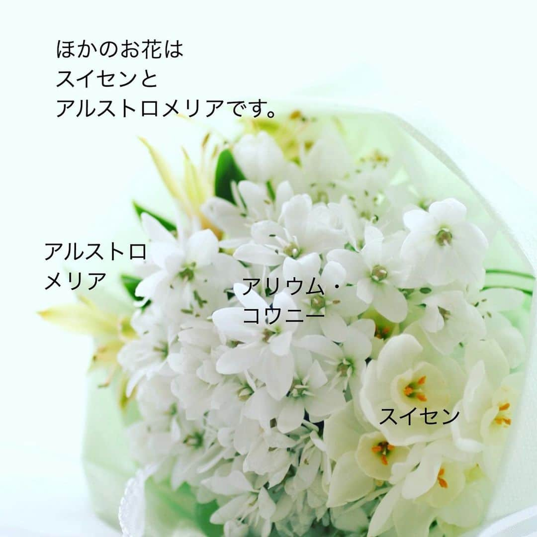 雑誌『花時間』さんのインスタグラム写真 - (雑誌『花時間』Instagram)「おはようございます。数本でも、たっぷりな感じで飾りたいとき、どんなお花を選んでいますか？﻿ ﻿ 花のつき方に ポイントがあります。﻿ ﻿ お花のカラダは 大まかに言うと こんな形状に﻿ 分類されますよね？﻿ ﻿ バラやチューリップなどの 1本に１輪タイプ。 ﻿ 茎の途中で﻿ いくつも茎が分かれる﻿ スプレーさん﻿。 デルフィニウムがそうですね。  ミモザなどのような 縦に密集して花がつく穂状。 ﻿ そして、﻿ レースフラワーのように﻿ 茎の先端で四方八方に﻿ 花茎が分かれて咲く チーム放射状（笑）﻿ ﻿﻿ このミニ花束に使った﻿ アリウム・コワニーもそう。﻿ ﻿ パラソルみたいに広がって﻿ お花がつくため、﻿ 数本でもポリュームアップ﻿ できるんです。﻿ ﻿ おまけにお顔は﻿ かわいい星形⭐️﻿ ﻿ 雨の日も☔️ かわいい顔で 癒やしてくれますよ。 ﻿ では、今週も元気smile😊😊😊で﻿ 頑張りましょう！ by ピーターパン﻿ ﻿ ﻿ #flowers #flowerslovers #flowerstagram #flowerarrangement  #花時間 #花時間2021  #花好き #花藝 #花好きな人と繋がりたい #花が好きな人と繋がりたい #花のある生活 #お花のある暮らし #花を飾る #花を飾る生活  #アリウムコワニー  #白い花 #白い花が好き  #スイセン  #水仙 #小さな花 #癒やしの時間  #おうち時間を楽しむ  #春よ来い  #alliums  #ピタミンf  #花屋さんへ行こう ﻿」2月15日 9時24分 - hanajikan_magazine