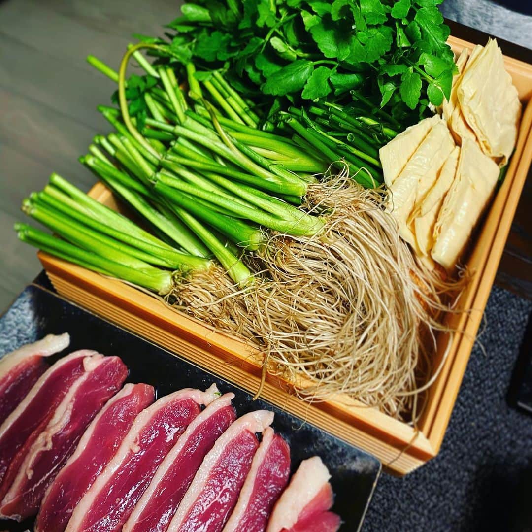 珠洲春希さんのインスタグラム写真 - (珠洲春希Instagram)「せり鍋。 美味しい鴨ロースとせり、 湯葉、お蕎麦を購入。 焦げ目をつけた葱と牛蒡をいれて、美味しくいただきます。 仕事終わりに元気の出る大好きなせり鍋✨」2月15日 9時27分 - harukisuzu54