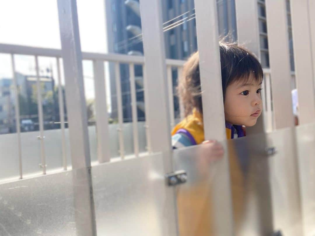 鈴木サチさんのインスタグラム写真 - (鈴木サチInstagram)「. 先週は次男坊を産んでから初めての出張でした。 . 子供3人をパパに任せて2泊3日。 . 帰って来たら家がピカピカ✨ . 嬉しいねぇ😍 . 本当にありがとう💕 . 日曜日は 天気が良かったから、近所を散歩✨ . . 雨スタートの東京ですが、皆さんも1週間がんばりましょー✨✨ . . #ママ #ママモデル #モデル #3児ママ #3兄弟 #次男坊 #1歳10ヶ月」2月15日 9時33分 - sachi_suzuki