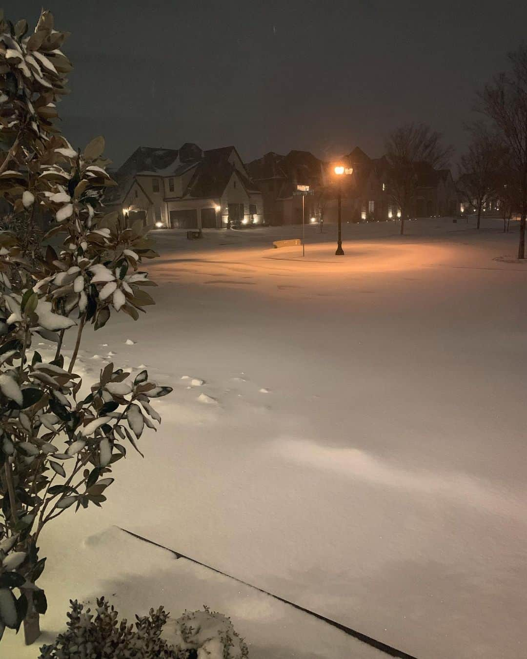 ハー・ミジョンさんのインスタグラム写真 - (ハー・ミジョンInstagram)「Welcome to Texas Elsa❄️ 텍사스에 놀러온 엘사😭 #texas #snowing #❄️」2月15日 9時57分 - mi_jung1205