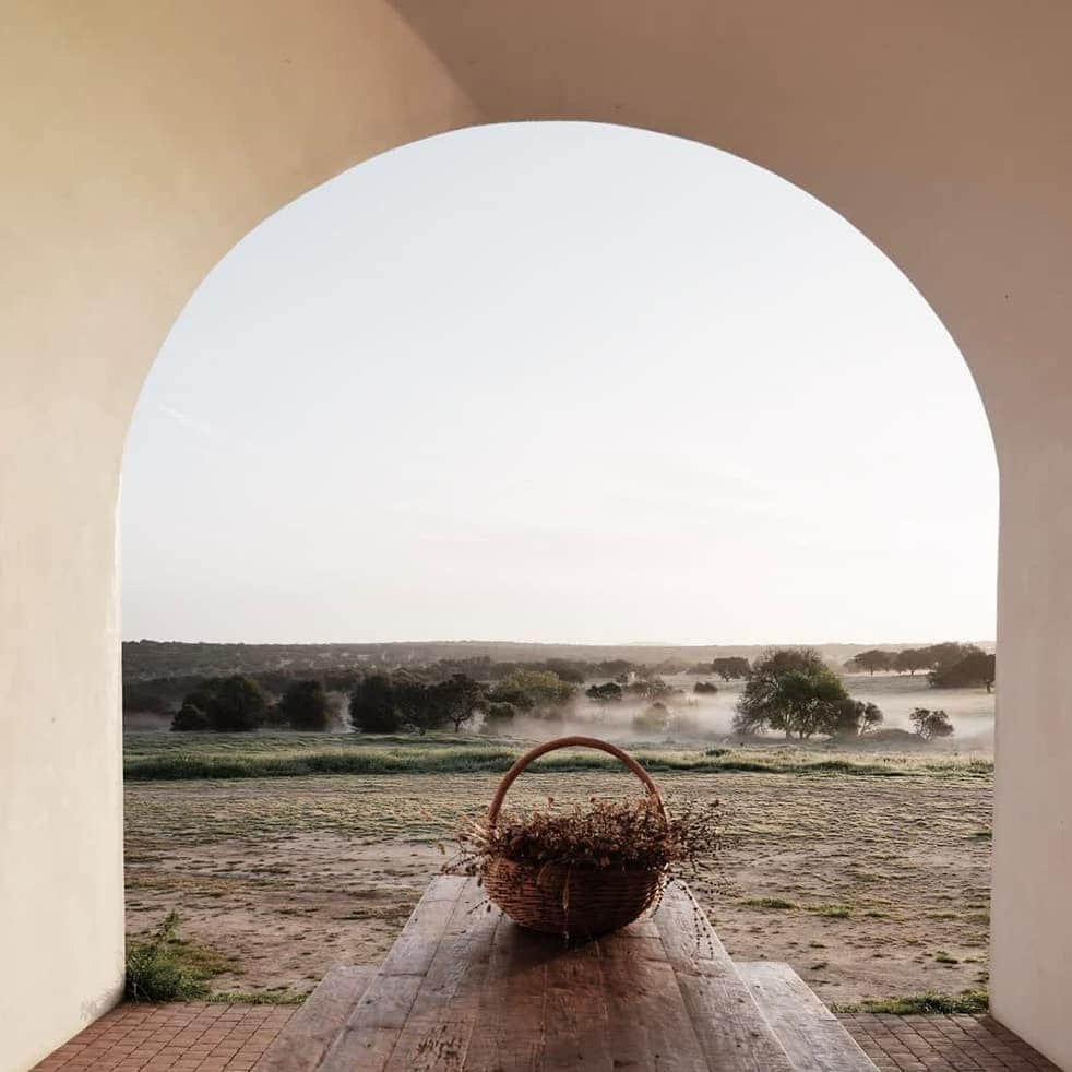 のインスタグラム：「While winter lingers throughout most of the country, we are always dreaming of Spring...our new collection is coming soon.  . . Image: @silent__living」