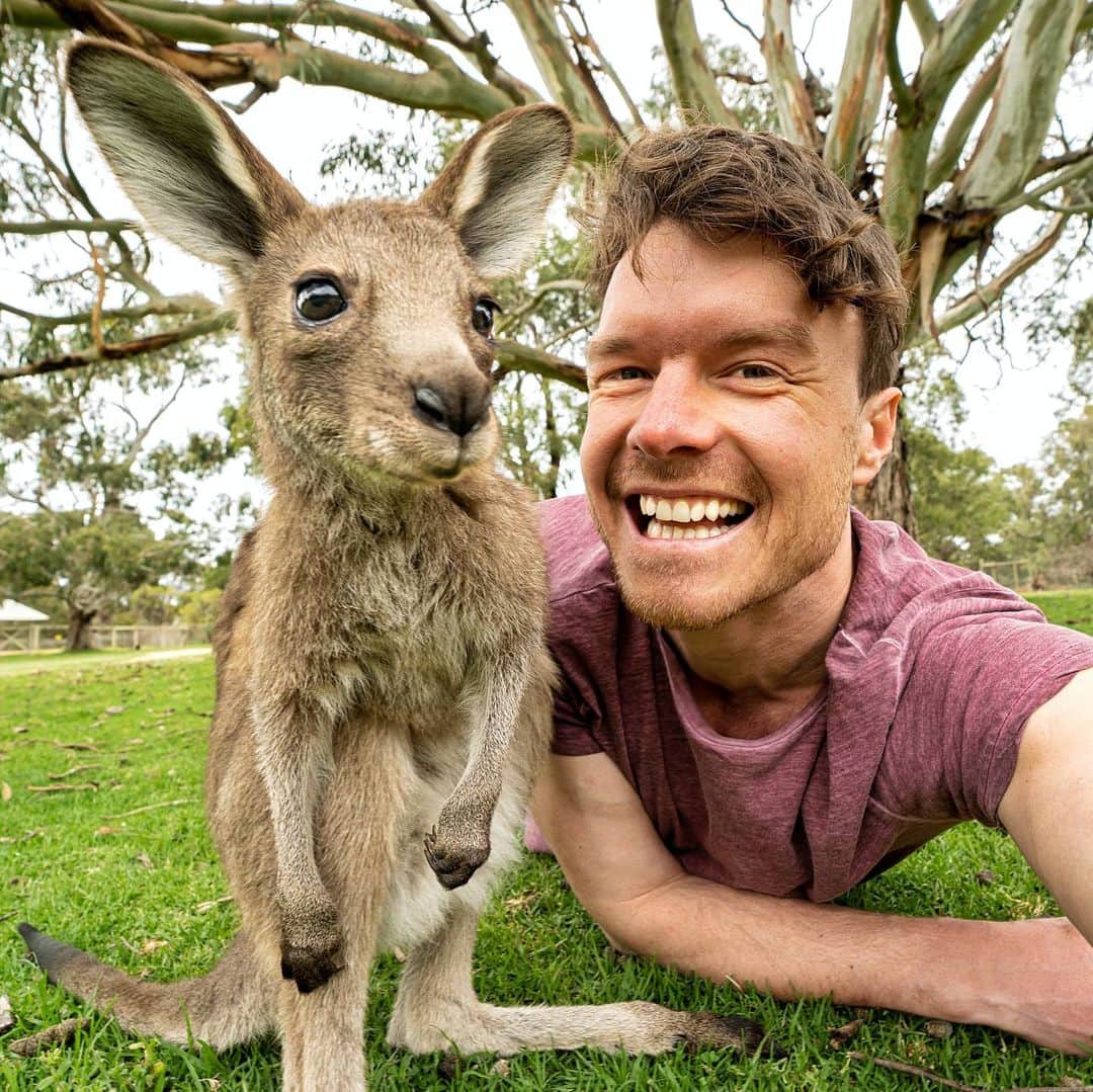 アラン・ディクソンのインスタグラム：「We hit 7 million views on my baby kangaroo YouTube video!! STOKED! so I decided to release another one 🦘 watch it or lil Jimmy here is going to kick you. Click my bio link 🔥」