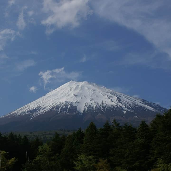 のインスタグラム：「【育林活動「富士山の森再生プロジェクト」とは？森は自然のカートリッジ】 2007年から継続して行う育林活動「富士山の森再生プロジェクト」。本プロジェクトは、「水を通じた環境保全への貢献」を目指す「BRITAグリーンプロジェクト」の一環として実施しています。 自然環境において「山を守り、森を育てる」ということは、そのまま「水を守り、生活を守る」こと。  一方で、BRITAには、「水の飲み方を持続可能な方法に変えていく」というビジョンがあります。本プロジェクトはこのビジョンのもとに、BRITA Japan・消費者のみなさま・NPO法人ドングリの会の三者が、豊かな森づくり、水づくりを目指し、共に取り組んでいるものです。 こちらの取り組みに関して、ご紹介していきたいと思います＾＾」