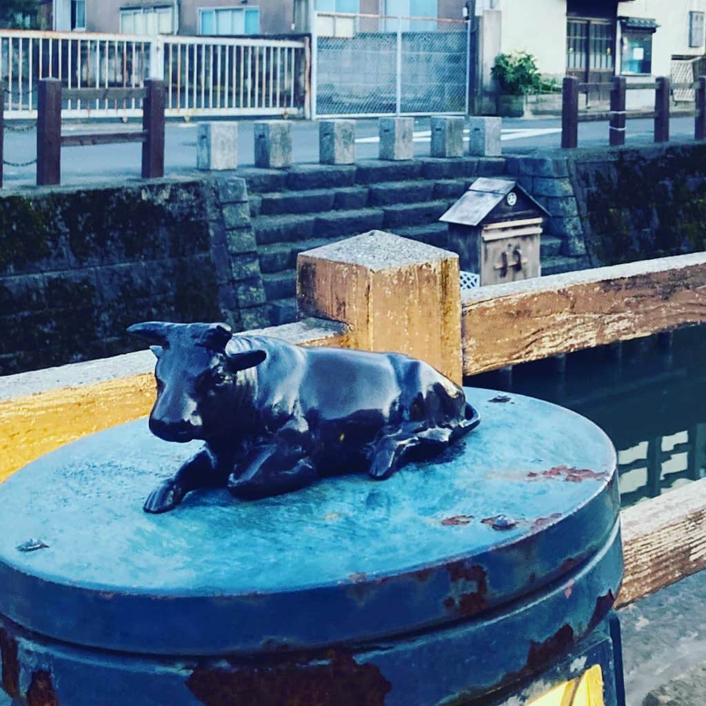 園崎未恵のインスタグラム：「水郷沿いに牛の銅像が。 歳女の次の12年がスタートです。」