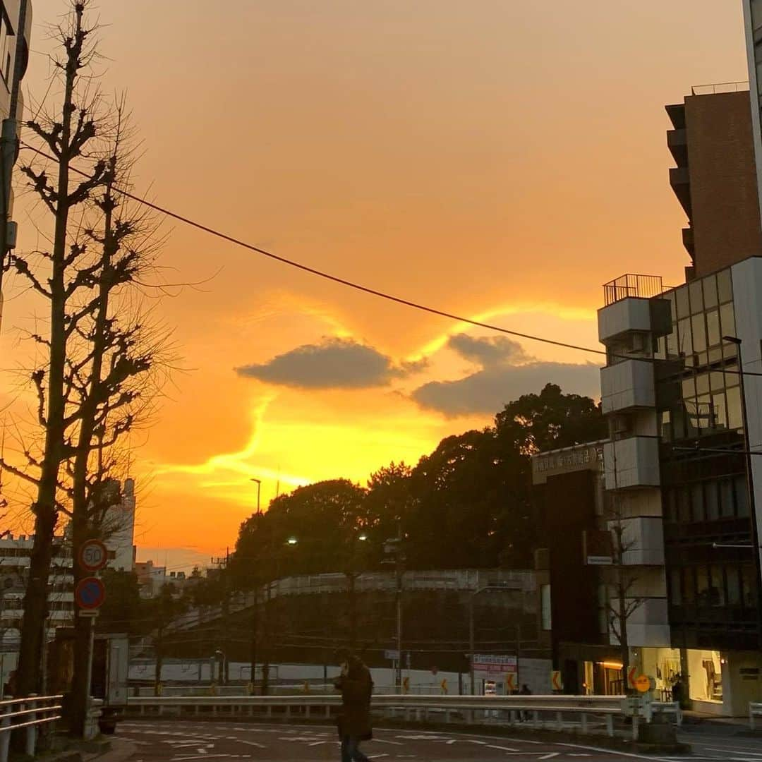 坂本美雨さんのインスタグラム写真 - (坂本美雨Instagram)「自分の欠点や好きじゃないところも、そういうところも悪くないよ、そういうところもあってのいいところなんだからね、と、許してもらいたいとおとなげない自分は願ってるのだけど、じゃあ自分は人にそうできてるのかい？と思うと、ウーーン🙄。」2月15日 20時18分 - miu_sakamoto