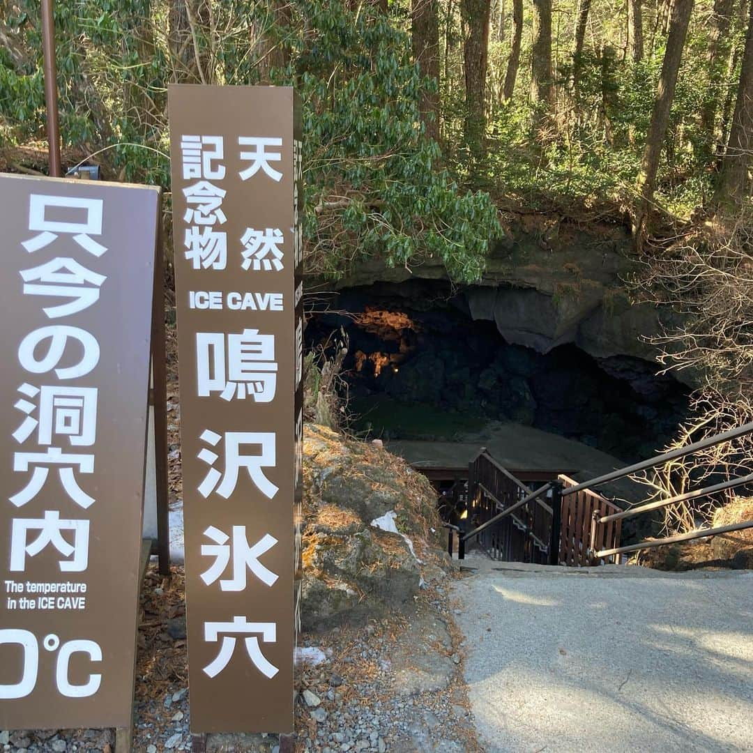 ニコラさんのインスタグラム写真 - (ニコラInstagram)「天晴レ山梨冬ノ旅！　〜2日目〜  昨日の日本酒をものともせず 5時に目を覚まして まだ暗いうちから車へ飛び込む2日目ノ朝😁 オリオン座と三日月に見守られながら 30minほど車をとばして #ほったらかし温泉 に到着✌︎  ほったらかし温泉には #あっちの湯　#こっちの湯　と 2種類のお湯があるけれど、 入りながら日の出をみられるのは 🌟あっちの湯🌟だよ🌈  脱衣所は罰ゲームかのように寒く、 お湯に飛び込むまでの数十秒はジゴク😭😁  すこしぬるめのお湯に入って 薄明るくなってきた空をながめること 約15分………  昨日富士の向こうへ沈んだダイヤモンドが、 ふたたび姿を表す美の瞬間………  この世の小さなことごと すべて心からいなくなって、、  神々しい光が世界を照らしていく……  それはもう、仕事が辛かろうが、身体が痛かろうが、おなかがすこうが、お金が無かろうが、脱衣所が寒かろうが、そんなことは どぉーーでもよくなってしまうような、そんな感動的なシーン。  太陽系の感動を肌で感じること。  見つめて見つめて気がつけば、 もう何センチも上に。。  服を着て、朝のコーヒーを・・ 少しゆっくりして、また車を走らせたら 富士が美しく映える #道の駅なるさわ　でお土産をget😁  そこから、つぎの目的地 #鳴沢氷穴 は車ですぐ😁  (着いてから気づいたけど鳴沢氷穴は中学の移動教室で行ったことある❗️)  鳴沢氷穴/(この後行く)富岳風穴　セットのチケットを買って 足下が凍ってとてつもなくすべるので気をつけてくださいとひどく念をおされ、、 いざ❗️クソ寒孤独穴へアドベンチャー❗️  宣言通りのツルツル凍結洞窟は暗く、狭い、、 富士山の側近ちゃんによって形成されたというこの穴 もっとも狭いところは縦90センチしかなく、、こわぁいん。  最奥には【地獄穴】と名乗る恐ろしい穴が😭(一歩足場を失うと二度と帰ってこられない竪穴)(伝説によると江ノ島の洞窟まで続いていると)(実際どこまで続いてるか分からんみたい)(こういうのゾクゾクして大好き、、❗️)  さらにはブルーに輝く幻想的なつららのシャンデリアでフィナーレ😳  さらにそのまま、車で2minくらいの #富岳風穴 へ。。 #青木ヶ原樹海  に挟まれたフットパスをぬけて 穴の入り口。誰もいなくて鬼ほど静か。樹の海とはそのとおりのもんで、あれはひとたび迷い込めば…南無であると実感。。  かつて天然冷蔵庫として使われていただけあって 洞窟の中はとても寒い❗️ この穴で蚕を冷蔵保存したことで日本のお絹工業が発展したと歴史あり。  洞窟の最奥はフェンス行き止まりになってはいるが。実際にはまだまだ奥まで続いている….どこまで続くのやら……  洞窟探検を終えたら今度は #天上山 へ。#富士パノラマロープウェイ に乗って行くと それはまあ、ダイナミックな富士よ❗️❗️  この巨大な山には何度ウットリさせられる❓ 何度私の心を鷲掴むのか❓ 富士よ…  熊が出ると脅かされながら さらに山道を登ること15minほど… 山頂の展望台にて 仲良し2ショットを🗻📸💕 今だけは二人だけの時間・・と言わんばかりに💕  この感動を得るたびに やはり旅はやめられないことを再確認するニコである……❗️  はらぺこになったところで 河口湖付近で有名なハンバーガー屋さん #ムースヒルズバーガー でランチ🍔 みるからにウマいが、肉の旨みたっぷりで最高だった……😍  よく冒険し、よく歩き、よく食べたら最後はやっぱり♨️ #富士眺望の湯ゆらり でダチ🗻との最後のひとときを…♦︎  晴れに晴れた青空の下 露天風呂は本当に最高😭💕  しっかりと湯上がりコーヒー牛乳もいただき、 完璧な締めくくりを成し遂げたのであった❗️  富士よありがとう、またくるゼ  変わるなよ……  今度は登りたい。  #山梨 #ひとり旅 #富士山 #mtfuji #最高すぎた」2月15日 20時31分 - nicolax27