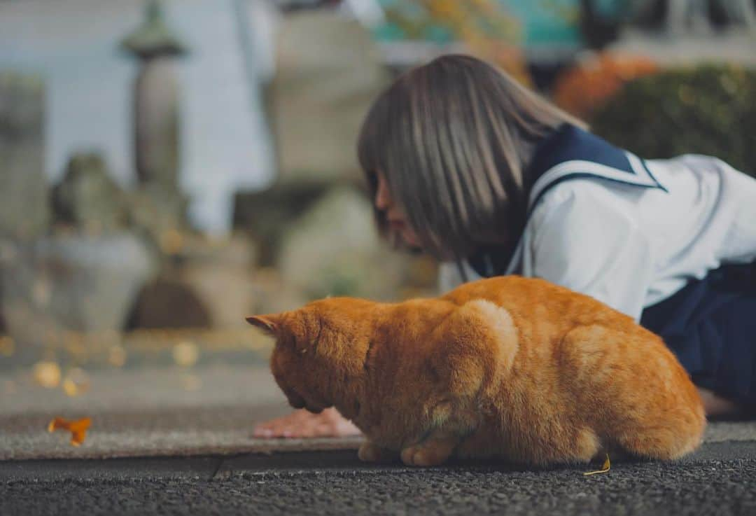 熊谷仁志さんのインスタグラム写真 - (熊谷仁志Instagram)「ロンTで使った写真の撮影時の未公開写真です𓈒 𓂂𓏸  神社で撮ってたらたまたま構いに来てくれた猫ちゃん   #一眼レフ #神社 #セーラー服 #制服 #猫 #nofilter_cam」2月15日 20時33分 - satoshi.0410