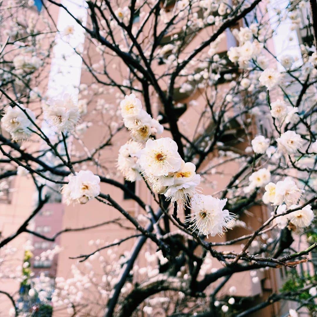 Park Hyatt Tokyo / パーク ハイアット東京のインスタグラム