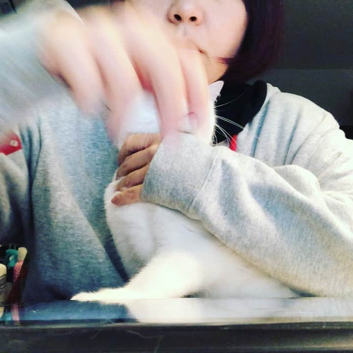 水谷さるころのインスタグラム：「静まりたまえ。静まりたまえと念じながら仕事する。　#おファルにゃん」