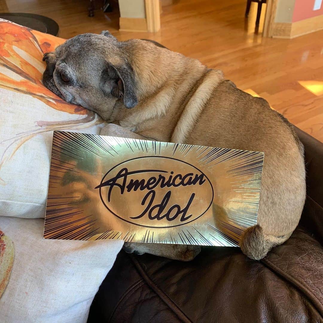 American Idolさんのインスタグラム写真 - (American IdolInstagram)「An audition for the ages! Future LEGEND @gracekinstlerofficial has so, so much to be proud of. ♌️」2月15日 11時58分 - americanidol