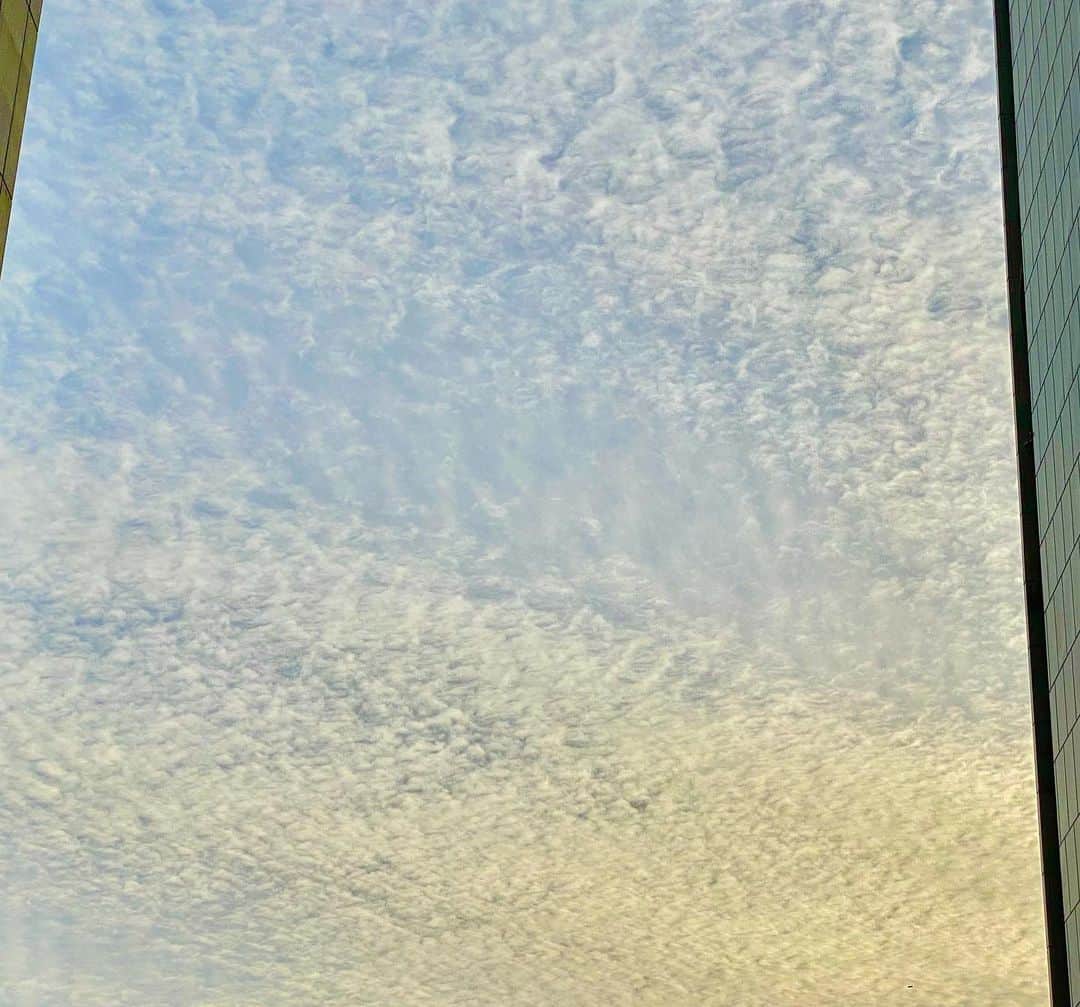 穂川果音さんのインスタグラム写真 - (穂川果音Instagram)「月曜日！ 今週は雨でスタート☔️ですが、 素敵な1週間になりますように、、 東北や関東地方では、揺れの大きかった場所では、地盤が緩んでいる場所がありますから、土砂崩れや、雪崩など、警戒をお願いします！  　#月曜　#空　#この空は先週の　#sky #skyphotography」2月15日 12時16分 - hokawakanonn