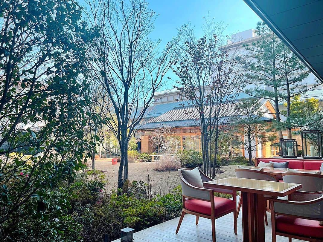 百合華さんのインスタグラム写真 - (百合華Instagram)「Take a walk in the Japanese garden of 『HOTEL THE MITSUI KYOTO』✨  #japan #日本 #kyoto  #京都 #二条 #hotelthemitsuikyoto #ホテルザミツイキョウト  #afternoontea  #アフタヌーンティー  #紅茶 #茶葉 #flavoredtea  #フレーバーティー #女子会 #女子会アフタヌーンティー  #アフタヌーンティー女子会 #優雅 #庭師 #庭師のいる風景  #庭園 #日本庭園 #お散歩 #春の訪れ #春 #spring」2月15日 12時23分 - yurika.lovelily