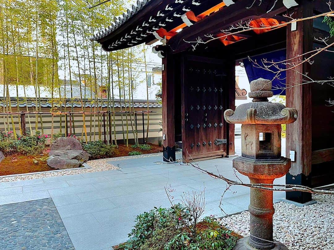 のインスタグラム：「Take a walk in the Japanese garden of 『HOTEL THE MITSUI KYOTO』✨  #japan #日本 #kyoto  #京都 #二条 #hotelthemitsuikyoto #ホテルザミツイキョウト  #afternoontea  #アフタヌーンティー  #紅茶 #茶葉 #flavoredtea  #フレーバーティー #女子会 #女子会アフタヌーンティー  #アフタヌーンティー女子会 #優雅 #庭師 #庭師のいる風景  #庭園 #日本庭園 #お散歩 #春の訪れ #春 #spring」