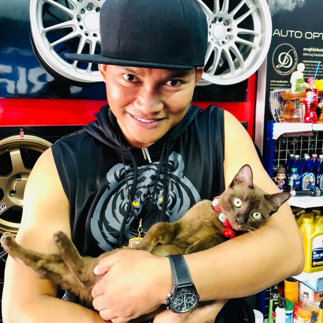 トニー・ジャーのインスタグラム：「Love my cat😂😂😂」