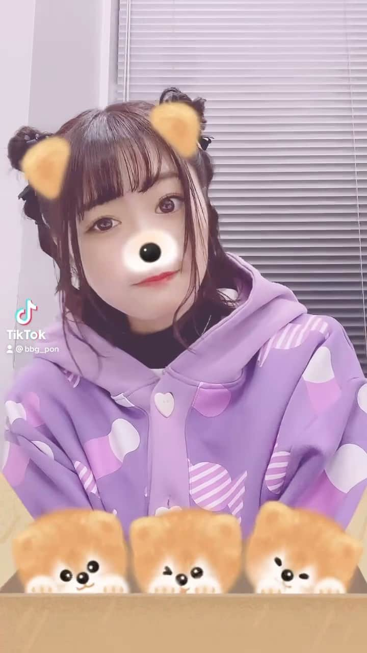 長谷川玲奈のインスタグラム：「再投稿🐶#電音部　#犬吠埼紫杏  #声優」