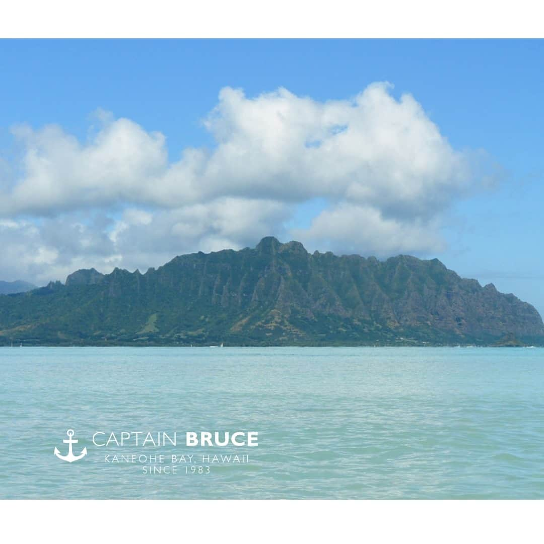 Luxury Cruise by Captain Bruceのインスタグラム：「カネオヘ湾の沖から望むコオラウ山脈。⁠ ⁠ ここではジュラシックパークなど、たくさんのハリウッド映画の撮影場所にもなりました。⁠ ⁠ ⁠ #captainbruce 😊 #kaneohesandbar #hawaii #oahu #koolau #explorehawaii #ahuolaka #ahuihou #ocean #water #island #aloha #havealohawilltravel #hawaiiinstagram #キャプテンブルース #天国の海ツアー #天国の海 #サンドバーツアー #アフオラカ #ハワイ大好き #オアフ島 #絶景 #海」