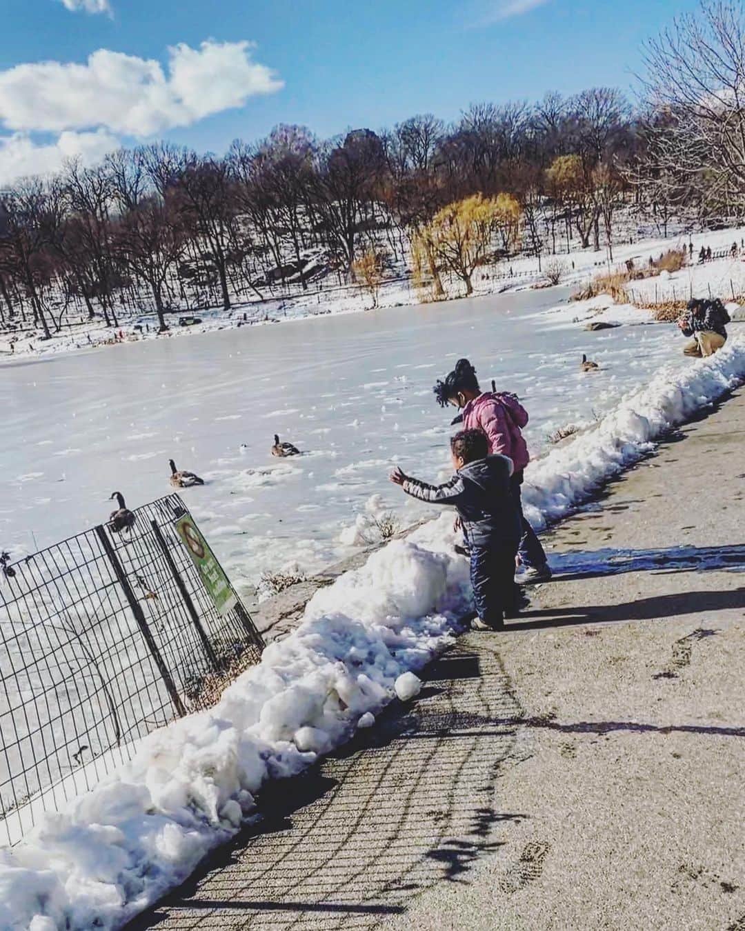 中鉢明子のインスタグラム：「🧊池が凍ってるね🦆 #CentralPark #Winter #Parenting #冬のセントラルパーク #子育て」