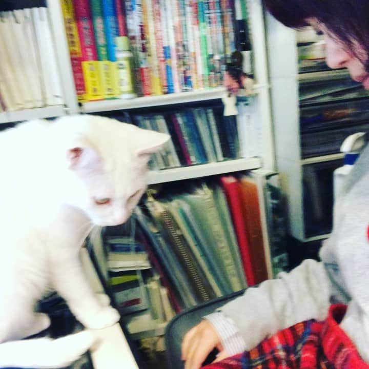 水谷さるころのインスタグラム：「よかった…。お茶を淹れてきても大丈夫だった…。」