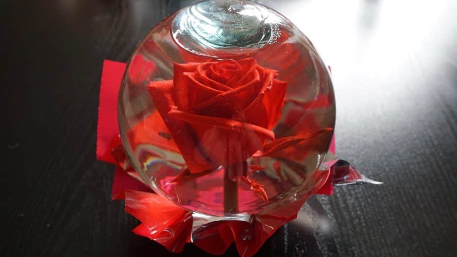 川和美輝さんのインスタグラム写真 - (川和美輝Instagram)「素敵な手作り作品を頂きました🥀✨🔮 360度どの角度から眺めても美しくて見惚れちゃいます🥰  #handmade #beautiful #real #rose #glass #cute #chihuahua #dog #silhouette」2月15日 13時37分 - mikikawawa