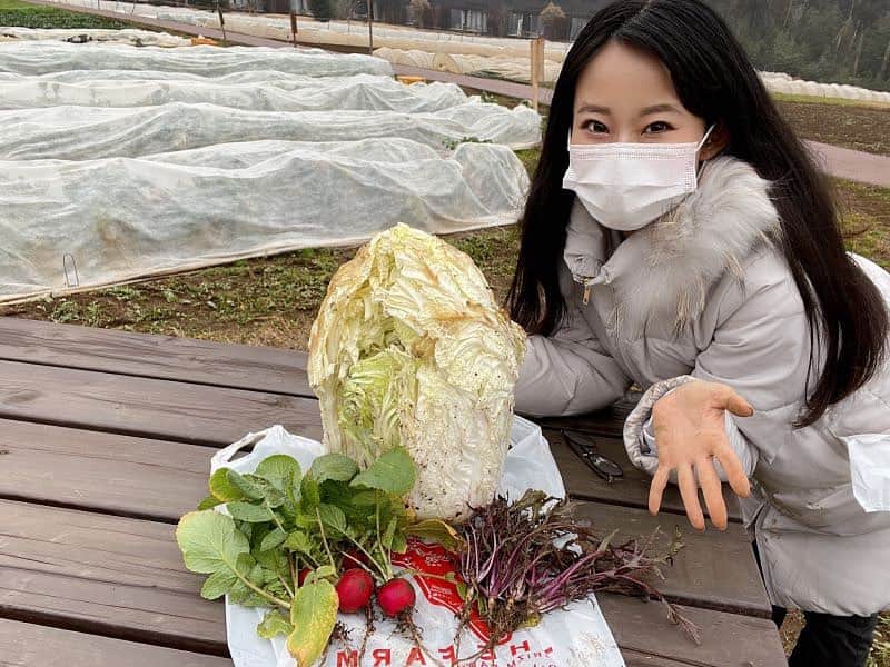 女子アナ47のインスタグラム：「ごきげんよう、千葉県出身、フリーアナウンサーの木村彩乃です。 観光庁による「誘客多角化等のための魅力的な滞在コンテンツ造成」の実証事業が現在行われていることをご存じでしょうか？ 各施設がコロナ対策を行う中、採択事業の１社である株式会社近畿日本ツーリスト首都圏 千葉支店は数種類のモニターツアーを行っているので、取材してきました。是非「47発信プロジェクト」で検索してみてください♪  #女子アナ47 #47発信プロジェクト #地方創生 #千葉県 #観光庁　#千葉県　#木村彩乃　#スイーツアナウンサー　#女子アナ」