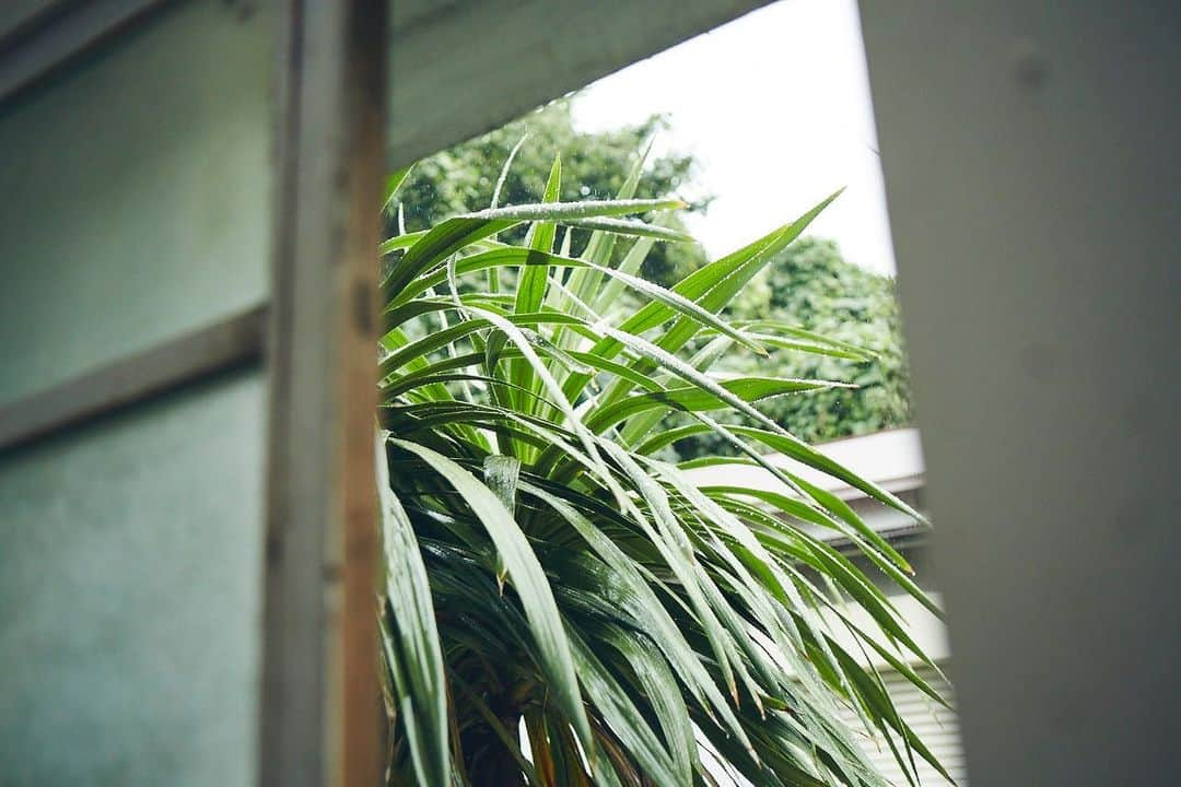 奈津美さんのインスタグラム写真 - (奈津美Instagram)「- Rainy day. - 雨の音って、眠くなるよね 🐈 - でも今週、頑張らんと！ #花嫁チャレンジ も 再開しよっと。🌛 - #rainyday #雨の日 #ひとりごと #비오는날」2月15日 13時52分 - natsumi_7.2.3