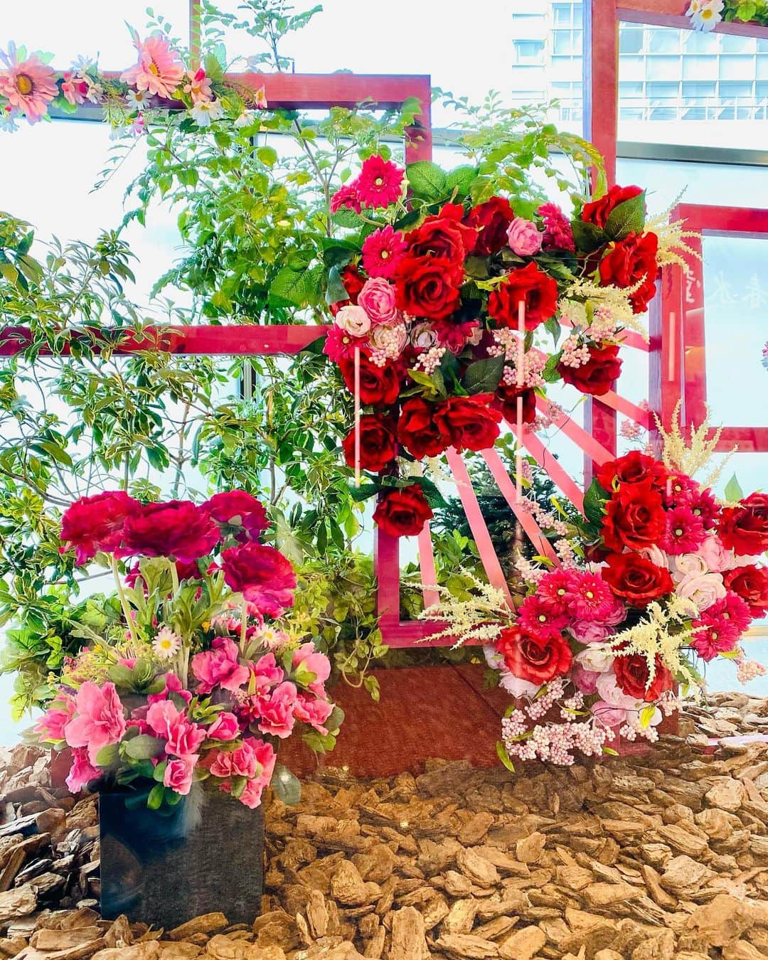 大越かず江さんのインスタグラム写真 - (大越かず江Instagram)「✨Rose 𓂃𓈒🥀✯✨  ”薔薇”には沢山の種類があります🌹✨ 色もいろいろ✨  あなたはどんな薔薇が好きですか？  私は真紅色の薔薇が1番好きかなぁ♥️  ✨✨✨✨✨✨✨✨✨✨✨✨✨✨✨  ✨ Rose 𓂃𓈒🥀✯✨  There are many types of "roses" 🌹✨ Various colors ✨  What kind of rose do you like?  I wonder if I like crimson roses the most♥️  ✨✨✨✨✨✨✨✨✨✨✨✨✨✨✨  #薔薇  #rose  #真紅  #crimson  #love」2月15日 14時00分 - bluemoonseasky