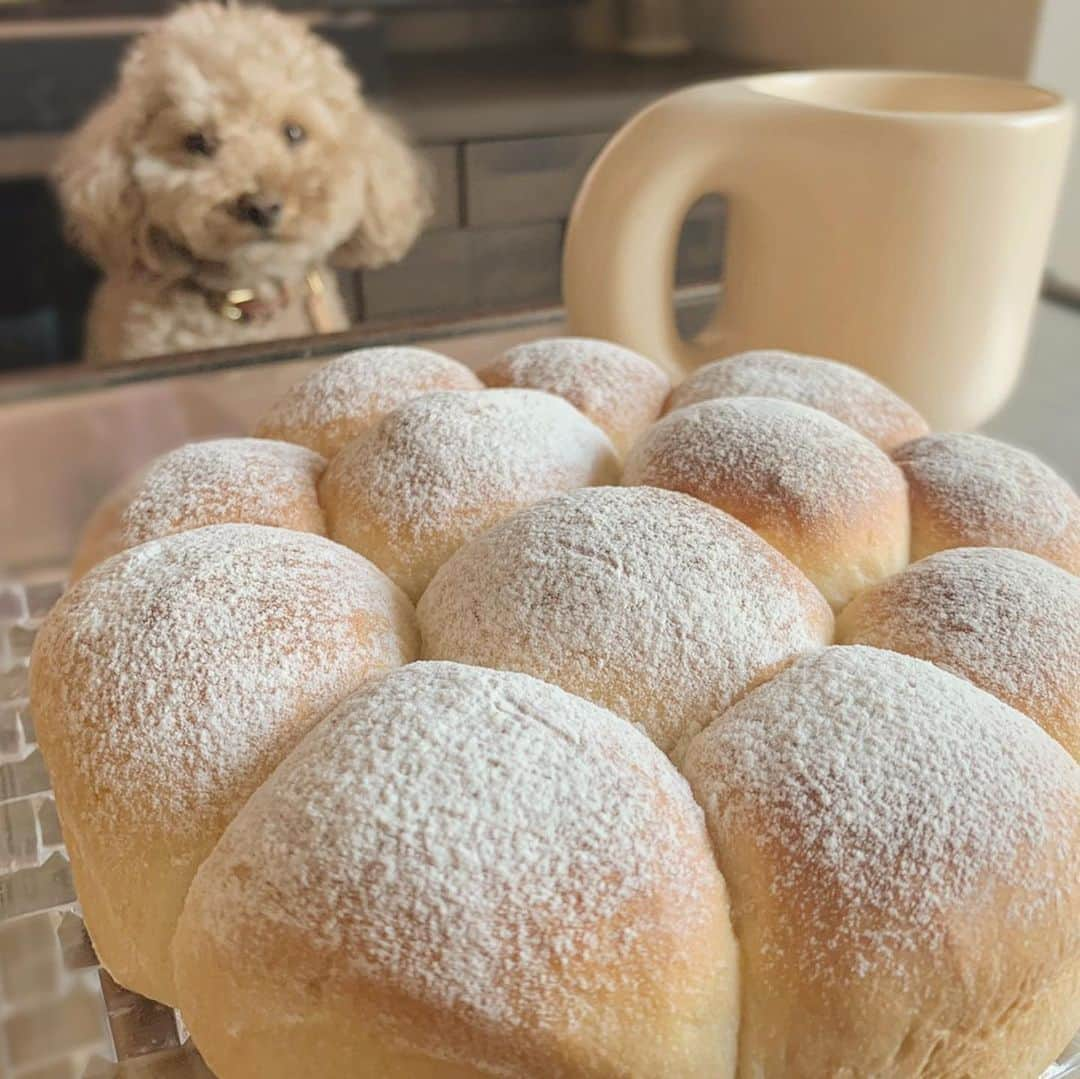 山内あいなさんのインスタグラム写真 - (山内あいなInstagram)「初めてのパン作り🍞🥐🥖🥯 喜んでもらえて嬉しかった❤︎ @jasmine_kei  作り方教えてくれてありがとうございます☺️✨✨  #valentine  #パン  #パン作り  #マグカップ お気に入り❤︎」2月15日 14時45分 - ainayamauchi3131