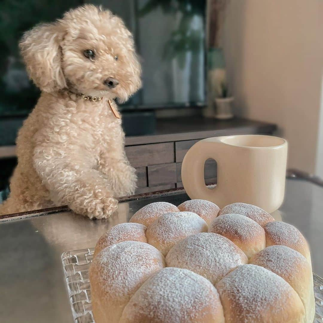 山内あいなさんのインスタグラム写真 - (山内あいなInstagram)「初めてのパン作り🍞🥐🥖🥯 喜んでもらえて嬉しかった❤︎ @jasmine_kei  作り方教えてくれてありがとうございます☺️✨✨  #valentine  #パン  #パン作り  #マグカップ お気に入り❤︎」2月15日 14時45分 - ainayamauchi3131