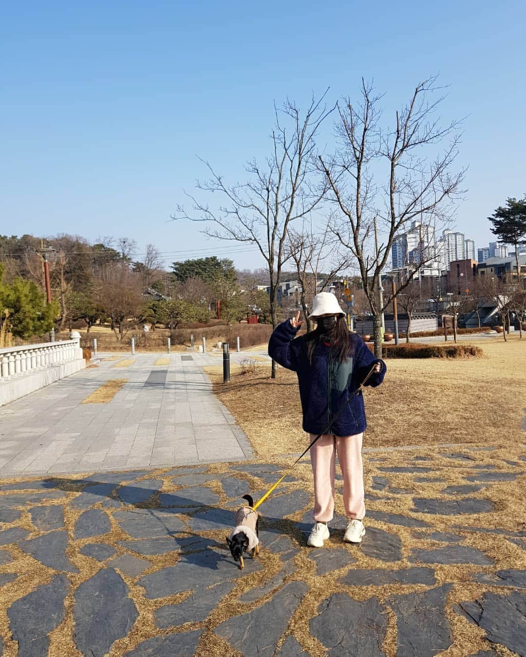 シン・ゴウンのインスタグラム：「요즘근황  #비둘기아줌마」