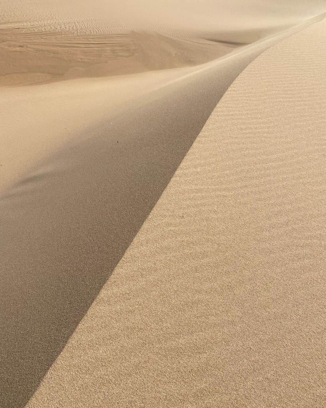 松島エミさんのインスタグラム写真 - (松島エミInstagram)「I cannot get over the beauty of these sand dunes I saw today. All images shot on iPhone and no filter. カリフォルニアやばい✨  #shotoniphone#beauty#beach #nofilter#sanddunes#landscape#naturephotography#砂丘#カリフォルニア#自然 #guadalupesanddunes#西海岸#nature#californialove#California#dunes#guadalupedunes#outdoors #outdoorlife#アウトドア#adventuretime#explorer」2月15日 15時03分 - emimatsushima