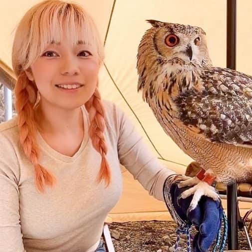 GEN3 Owlのインスタグラム：「アウトドアYouTuber えりキャン△ " @erincology "さんとコラボしてきました🦉ﾎｯﾎｰ 撮影しなきゃなのに会話を楽しみすぎて全然撮影できてないという😂← えりキャン△さんは夫婦でバンライフの紹介やキャンプの楽しさをYouTubeに投稿しています。 ぜひチェックしてください👏✨ 僕も週末、動画を投稿するのでお楽しみに〜😆👍👍  I've collaborated with Outdoor YouTuber " @erincology ". 🦉 I have to shoot, but I enjoyed the conversation so much that I couldn't shoot at all 😂 ← She and her husband post an introduction to Van Life and the fun of camping on YouTube. Please check it out 👏✨ I'll post a video on YouTube on the weekend so please look forward to it 😆👍👍  #owl #owlgaru #camp #camping  #フクロウ #キャンプ #キャンプ女子 #バンライフ」