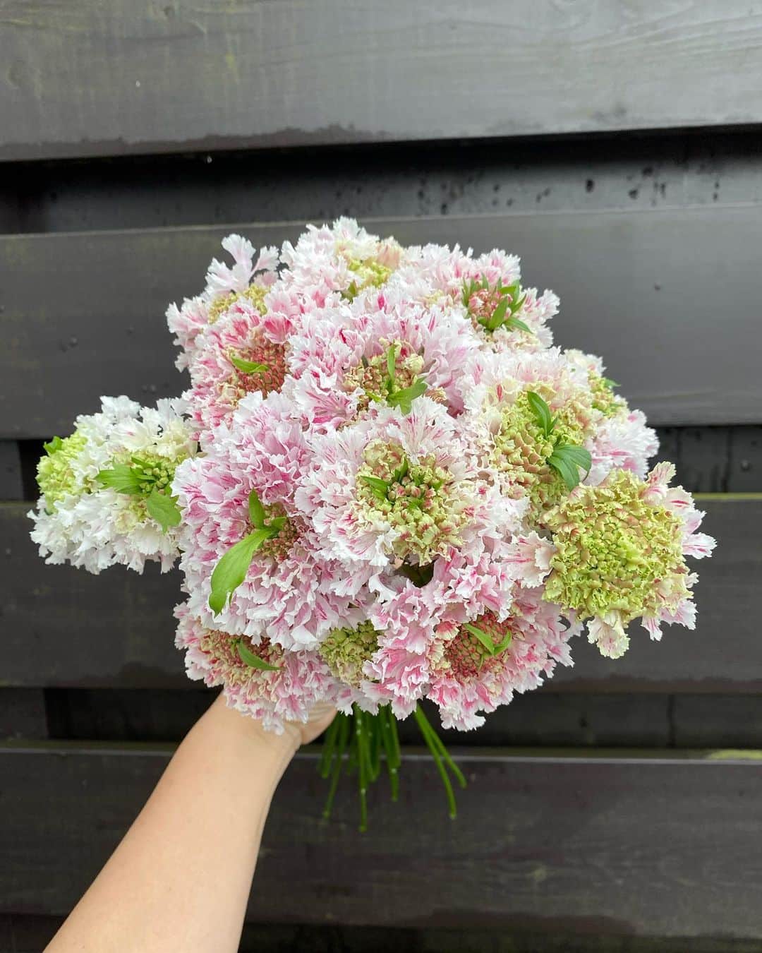 MILLE ECLAT.のグルメインスタ