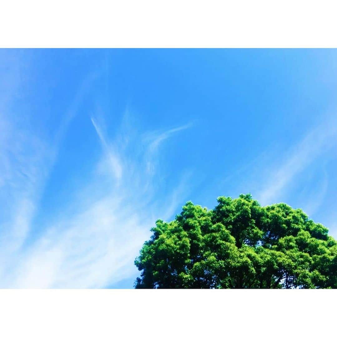 高木沙織さんのインスタグラム写真 - (高木沙織Instagram)「わずかでも ほっと一息つける時間がありますように。 * 今日という日を 無事に終えることが出来ますように。 * 離れた場所から 祈っています。 * #東北 #鹽竈神社」2月15日 16時05分 - saori_takagi