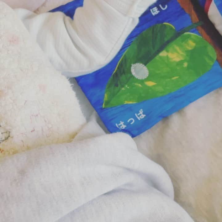 英玲奈のインスタグラム：「左手で娘をあやし、 右手で影をなでる。 やっと娘がソファにいても乗ってきてくれる様になりました。  #娘#daughter#生後2ヶ月#女の子ママ#girlmom#女の子ベビー#girlbaby#親バカ部#毎日が特別#赤ちゃんと猫#幸せ時間#ママは大忙し#すぐ呼ばれる#つまらないと泣く」