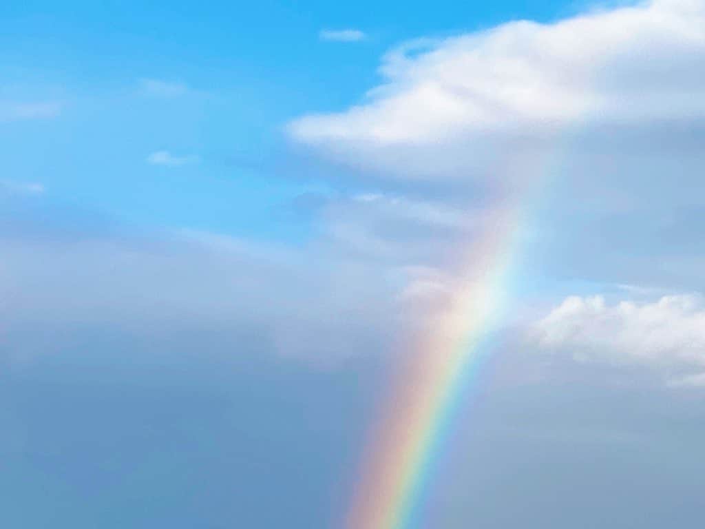 倉田雅世のインスタグラム：「虹だ🌈」