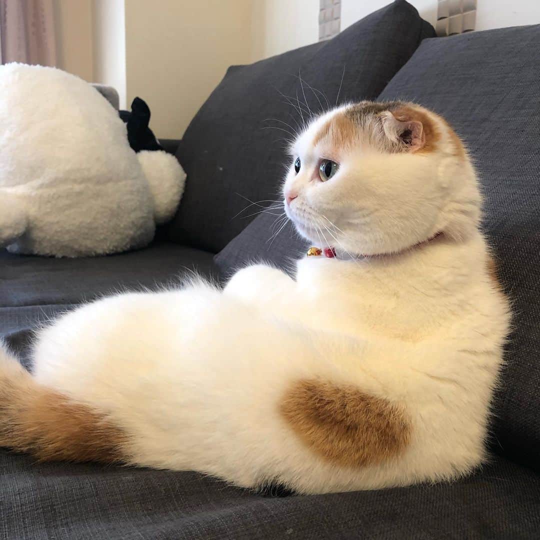 momo0224momomoのインスタグラム