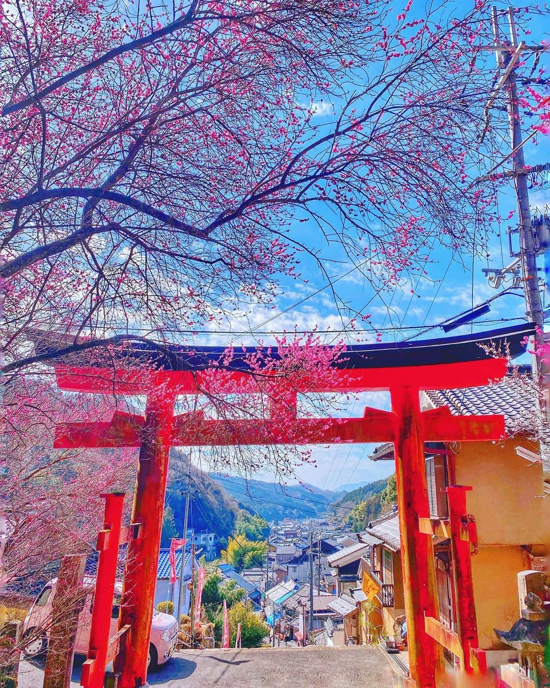 hama_aki_pppさんのインスタグラム写真 - (hama_aki_pppInstagram)「奈良県#興喜天満神社  Location Nara Japan  　  #美しい日本　 #わたしは奈良派  #神社仏閣  #奈良県景観資産  #おとな旅プレミアム　 #はなふぉと  #じゃらん花畑  #igmw_flowers  #tv_flowers  #total_asia  #amazing_shotz  #top_favorite_shots  #allthingsofbeauty_  #flower_beauties_  #inspring_shot  #beautiful_kansai  #flower_brilliance  #igbest_life  #japanesetemple  #japaneseshrine  #beautiful_nature  #japanesegarden  #lovers_united_japan  #ap_japan_  #japanesegarden  #j_flower_shots  #flower_special_」2月15日 16時58分 - hama_aki_ppp