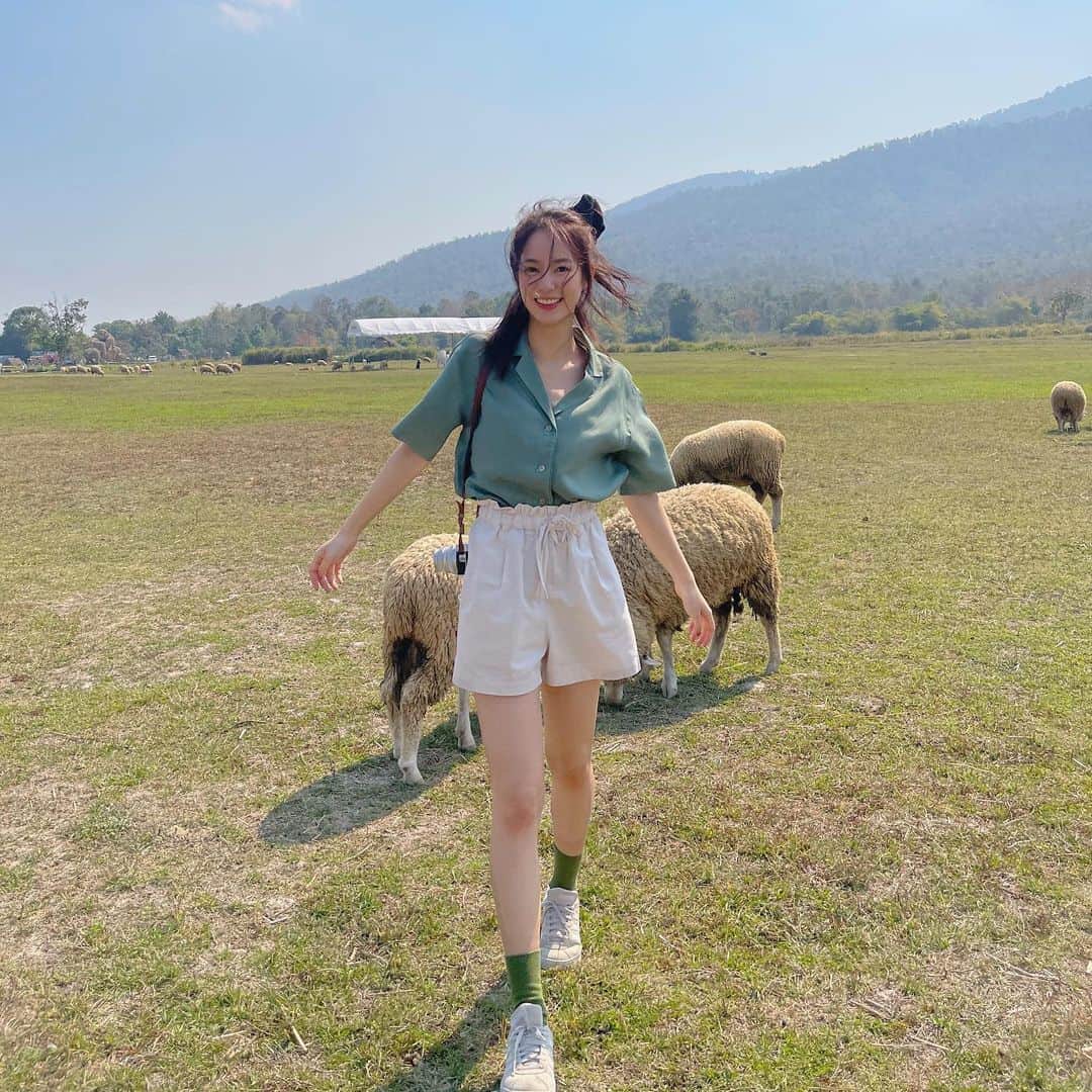 PIMTHAのインスタグラム：「ผ่านวาเลนไทน์ไปแล้ว แต่เรายัง In relationsheep with ชุดจาก @uniqlothailand อยู่เล้ยยย 🦙🦙🦙🐑 จัดไปกับเสื้อ Linen Blend Open Collar Shirt และ กางเกงขาสั้น Cotton Linen Relax Shorts ใส่สบายยยย สีสันสดใส ไปตามหาได้แล้วทั้งหน้าร้านและทางออนไลน์เลย~ อัพเดทไอเทมใหม่ๆที่ FB และ IG @uniqlothailand #UniqloThailand #LinenBlendOpenCollarShirt  #CottonLinenRelaxShorts #ให้ลินินเติมสีสันทุกอารมณ์」