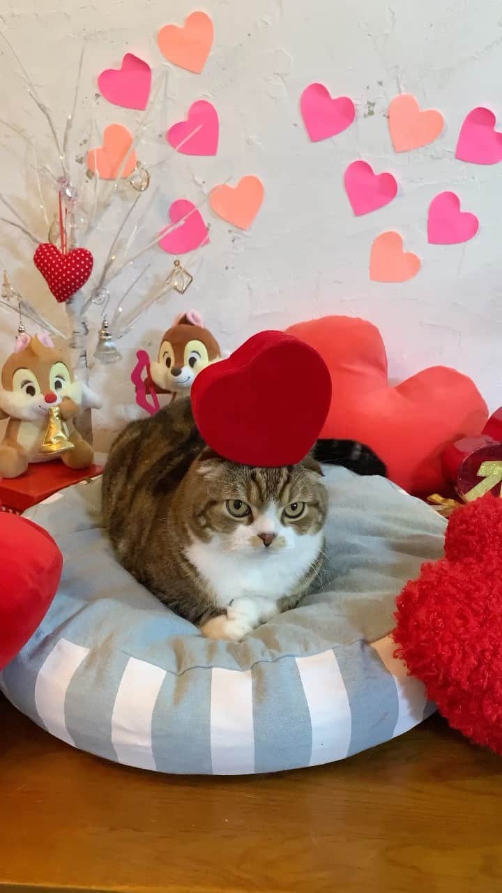 yayoi89のインスタグラム