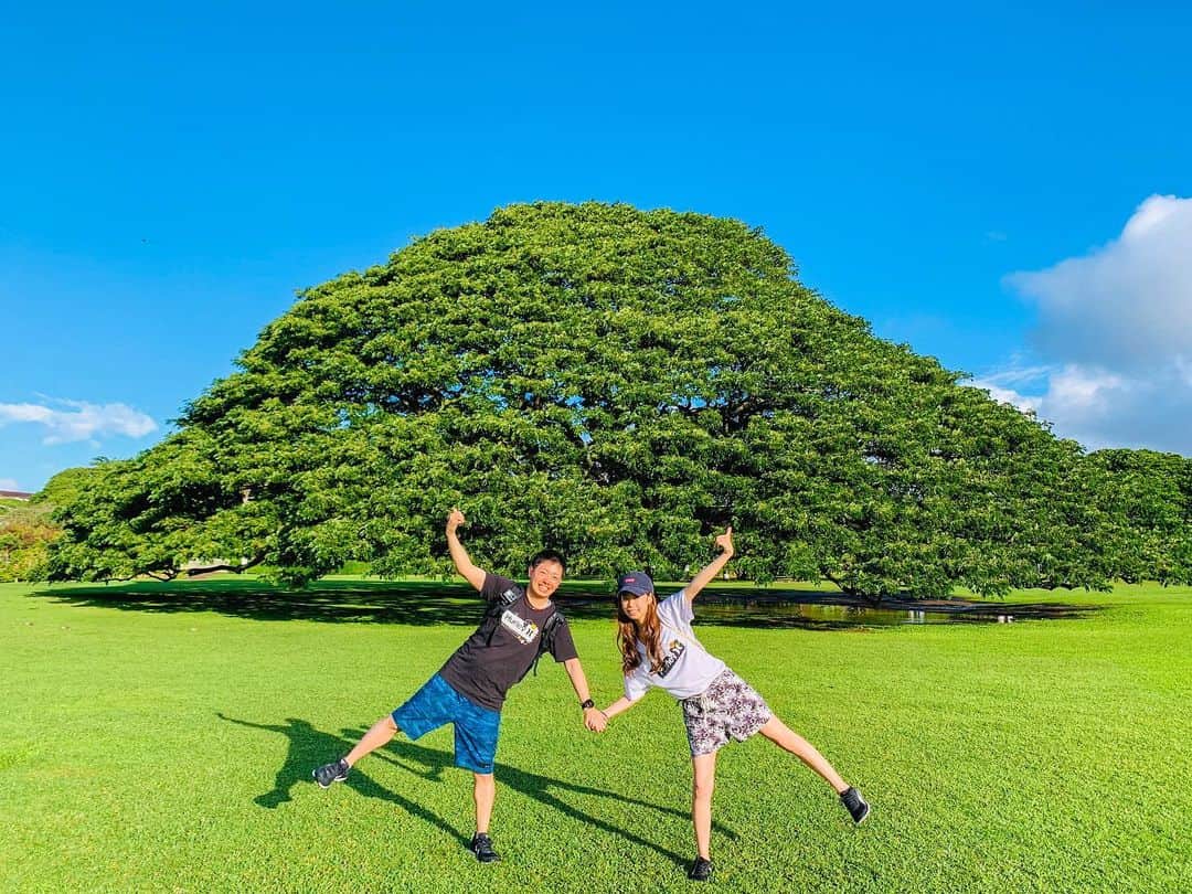 kawaiihawaiitourのインスタグラム：「ホノルルにある日立のCMの撮影で使われているこの木なんの木です！早く日本の皆さんにもハワイへ来てもらいたいです✨カワイイ・ハワイ・ツアーでは、お客様が行きたいところを自由に選んでもらって好きなようにツアーが回れます‼️ 本日は、ハワイは、48人のコロナの感染者が出ました。 --------------------------------------------------------- ❤️Kawaii Hawai'i Tour / カワイイ・ハワイ・ツアー ❤️✨🌈プラン🌈✨ (ハワイ州政府公認会社 PUC 497-C) ✔︎日本人経営 日本人ガイド付きツアーなので安心️🏝✨😎👍🏽 ✔︎あなただけのオリジナルツアーが作れます ✔︎初ハワイ満喫コース、オススメスケジュールご用意しています‼︎ ✔︎ガイドブック派？それともローカル体験派？ ✔︎なんでもご相談下さい 💁🏽‍♂️💁🏽☀️🏝✨😎👍🏽 ✔︎お写真もたくさんお撮りします🤳 ------------------------------------------------------ お客様の笑顔が私達の笑顔をモットーにツアーをさせてもらっています🚙🚖🚘 --------------------------------------------------------  #ハワイ #hawaii #ハワイ挙式 #アウラニディズニー #コロナ　#ファインダー越しの私の世界 #カカアコ #ハワイ好き #ラニカイビーチ #天国の海 #ハワイ行きたい #ハワイツアー #オアフ島　#ホノルル #ハワイチャーターツアー  #ハワイ旅行  #ハワイ女子旅  #ハレイワ 　#フォトジェニック #ハワイ好きな人と繋がりたい #ハワイコロナ　#インスタ映え　  #ハワイ観光 #カイルア  #モアナルアガーデン　#ハワイ留学　  #オアフ島 #日立の樹 #この木なんの木 　#ヤシの木 #ワイキキ　#ハワイ旅行」