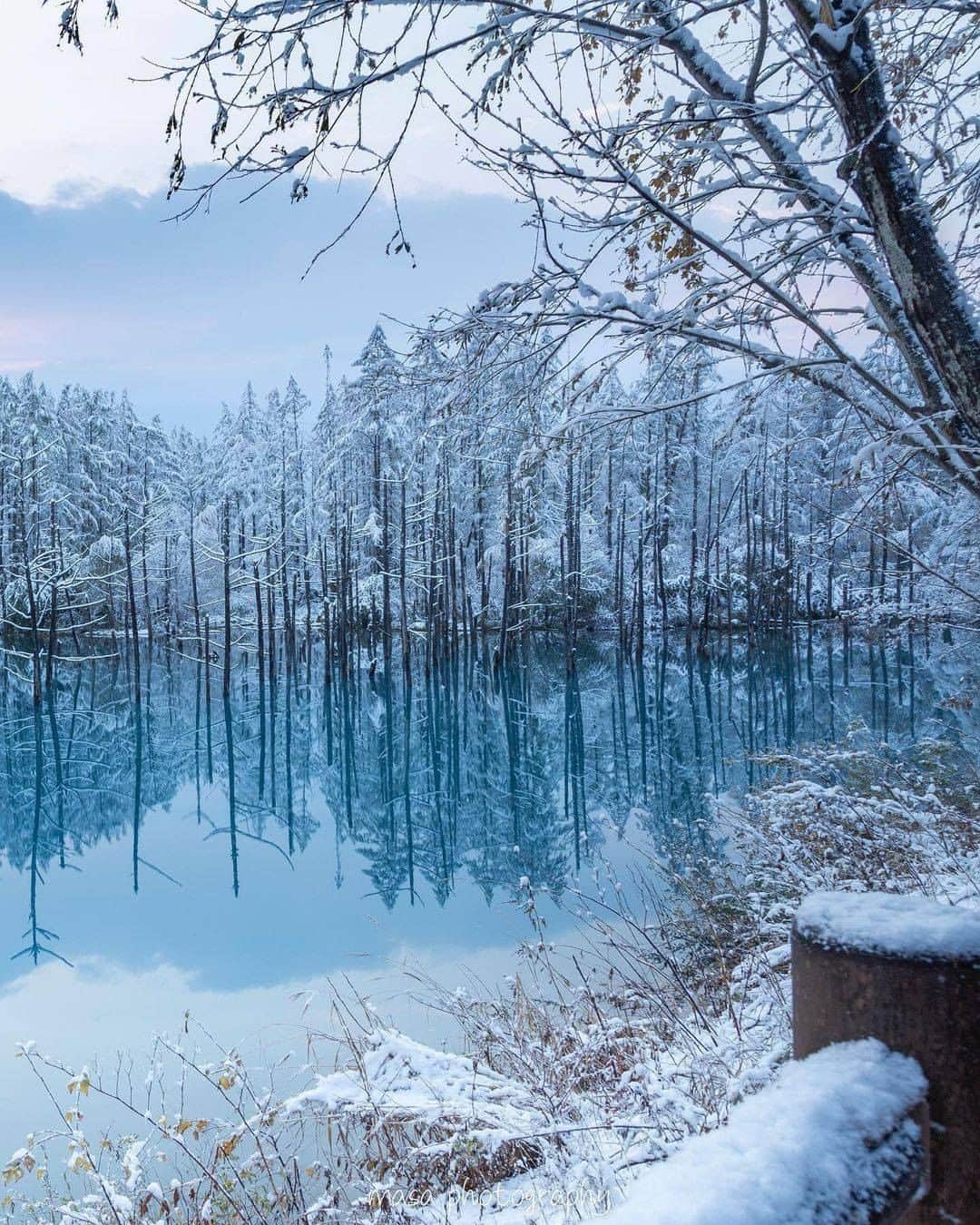 のインスタグラム：「#青い池 水面が青く見える不思議な池。 美瑛の白金温泉から車で約５分のところにあります。 季節や天候によってさまざまな青い色が楽しめます。 . . ━━━━━━━━━━━━━━━ 📍 北海道「青い池」 📷 photo by @go_go_masa ━━━━━━━━━━━━━━━ 📎 【 #じゃらんおすすめ_北海道 】 おでかけの参考に、ピックアップしたお写真をエリア別でまとめました！ ━━━━━━━━━━━━━━━ . . #jalan_travel　をつけていただいた中からpick upしました🔍 素敵なお写真をありがとうございました😍 . . ☑ 新型コロナウイルス感染症拡大防止の観点から、各自治体により自粛要請等が行われている可能性があります。ご利用の際には、あらかじめ最新の情報をご確認ください。また、感染拡大の防止に充分ご配慮いただくようお願いいたします。 ☑ #jalan_travel をつけて、ぜひ今までの旅行先の思い出写真を投稿してください。このアカウントでご紹介させていただきます。(じゃらんニュースでも紹介される可能性があります） . . . . . . #いつかまた行きたい #いつか行きたい #hokkaido #北海道 #冬 #絶景 #美瑛 #じゃらん #観光 #観光地 #観光スポット #旅行 #旅行好きな人と繋がりたい #旅行好き #写真好きな人と繋がりたい #ファインダー越しの私の世界 #Japan #travel #travellers #trip #jalan #japantravelphoto #japantrip #japantravel #jalan_blue」